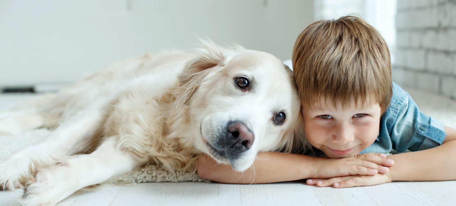 Is it Important for Children to Have a Dog While Growing Up?